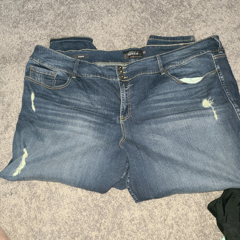 Torrid Jeggings